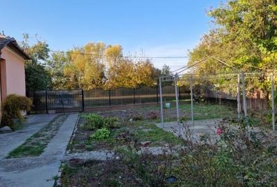 Casă cu 4 camere cu Teren 1522 Mp în Cenad - 4