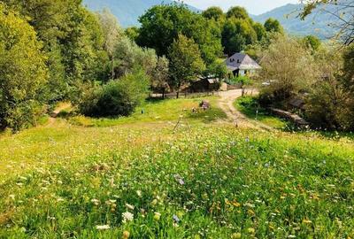 Spațiu comercial, în Nucșoara - 6