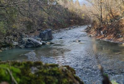 Teren de 3200 mp, în Valea Doftanei - 5