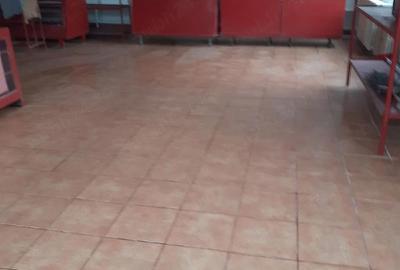 Spațiu comercial, de 100 mp, în Tileagd - 1