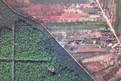 Teren Silistea Snagovului 500 mp apropiere padure - 5