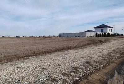 Teren de 433 mp, în Vidra - 4