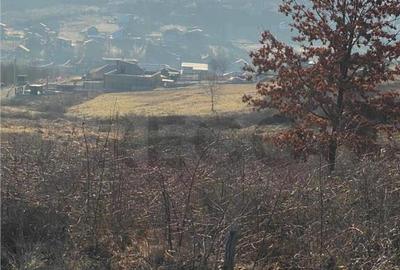 RECO Teren intravilan zona Hanul Pescarilor 1250mp - 1