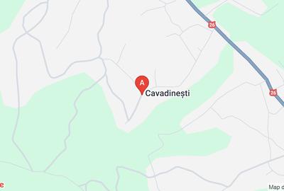 Terenuri agricole de arendat în Cavadinești, Galați – suprafețe variate - 1