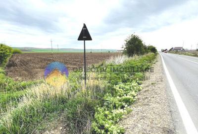 TEREN intravilan PIATRA NEAMT strada Izvoare - 12