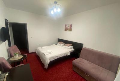 Garsonieră decomandată în Băile Felix - 1