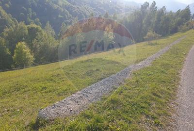 Teren agricol extravilan de 2000 mp, în Peștera - 6