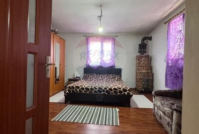 De vanzare casa cu curte generoasa - Fierbinti Targ, Ialomita - 10