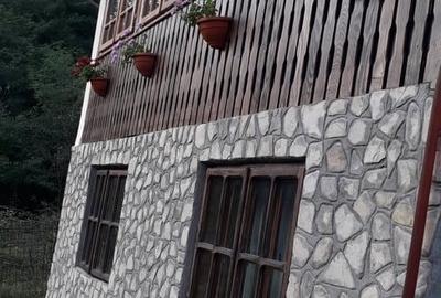 Casă cu 2 camere cu Teren 1800 Mp în Posești - 3