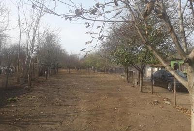 Casă cu 4 camere în Goicea - 2