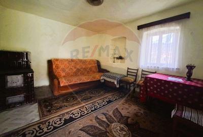 Casa de vanzare in Gura Raului - 12