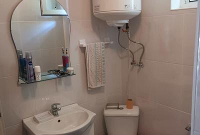 Cabana excelenta in sat Salard com Lunca Bradului jud Mures - 3