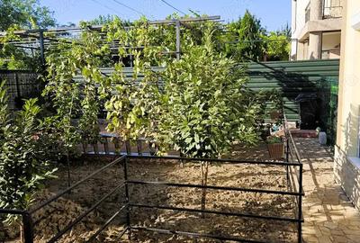 Casă cu 3 camere cu Teren 385 Mp în Valu lui Traian - 9