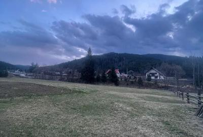 Spațiu comercial, în Brodina - 6