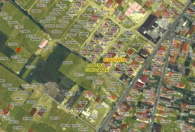 Teren de 750 mp, în Viile Noi - 3