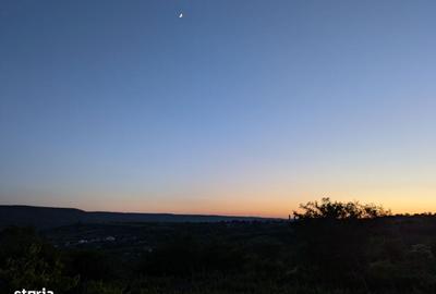 Casă cu 6 camere cu Teren 12900 Mp în Cotnari - 6