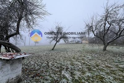 Casa si teren 3054 mp - Negresti - 13