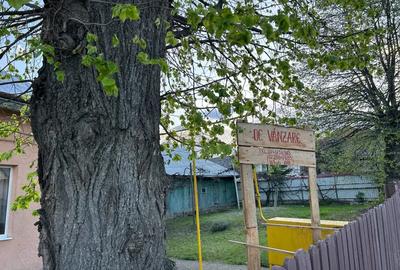 Vand casa Falticeni Suceava - 4