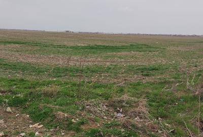 OCAZIE UNICA TEREN IEFTIN-PUZ INDUSTRIAL CERNICA, PALLADY - 6