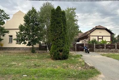 Casă cu 6 camere cu Teren 5755 Mp în Șandra - 8