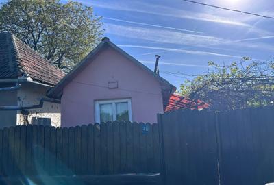 Casă cu 2 camere în Șepreuș - 3