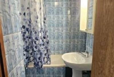 Tei-Domino, Apartament 2 camere - 4