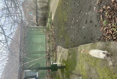 Vand casa cu teren GRADISTE-ARAD, str. Randunicii, nr 32, lzona excelenta, - 8