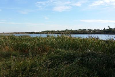 Teren Construcții intravilan de 3300 mp, în Butimanu - 8