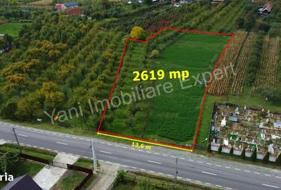 Teren de 2619 mp, în Corbeni - 6