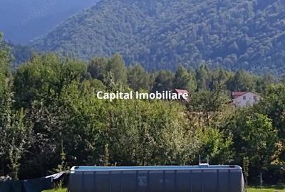 House for sale, 5 Rooms, 180 sqm, Valea Dejani - 8