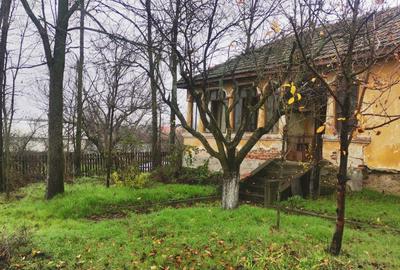 Casă cu 3 camere în Stolnici - 3