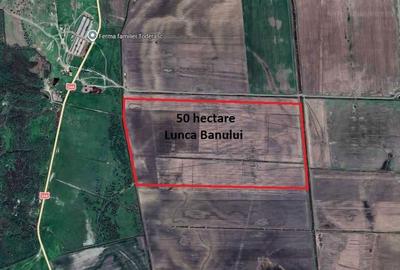 Teren de 500000 mp, în Lunca - 3