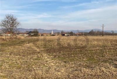 RECO Teren in Topa de Cris 7560mp aproape de E60 RECO Teren in Topa de Cris 7560mp aproape de E60 - 1