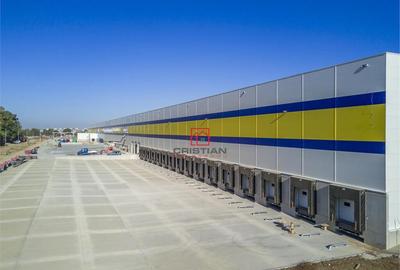 Depozit/hala/spatiu industrial Stefanesti - Centura, Ilfov - 3