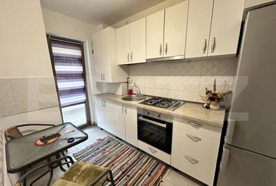 Apartament cu 2 camere semidecomandat în Calea Severinului - 1