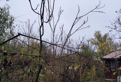 Casa batraneasca plus teren 1600mp Toporu jud. Giurgiu - 6