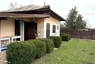 Teren de 1944 mp, în Dărăști-Vlașca - 8