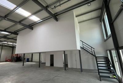 Hala noua ideal depozit/productie - 3