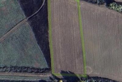 Teren intravilan de 5800 mp, la Asfalt zona Bucovat - 1