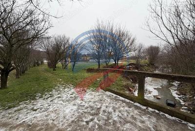 Casă cu 3 camere cu Teren 2540 Mp în Vulpeni - 10