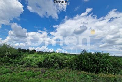 Teren agricol extravilan de 12000 mp, în Hideaga - 5