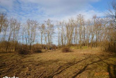 Teren de 1771 mp, în Central - 1