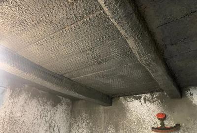 Casă cu 2 camere cu Teren 1242 Mp în Teș - 5