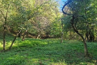 Teren de 3720 mp, în Govora - 5