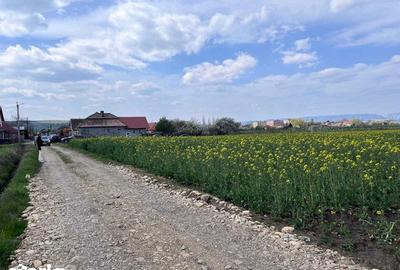 Teren de 3700 mp, în Călărași - 4