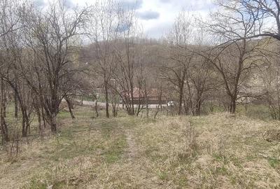 Teren de 2500 mp, în Central