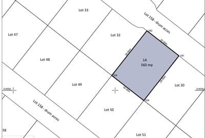 Teren Construcții intravilan de 529 mp, în Frumușani - 3