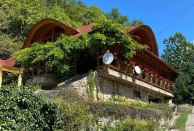 Casă cu 7 camere cu Teren 17000 Mp în Cărbunari - 16