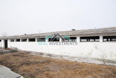 Spațiu comercial, de 20,000 mp, în Semlac - 10