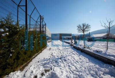 Proprietate specială, în Gârleni - 33